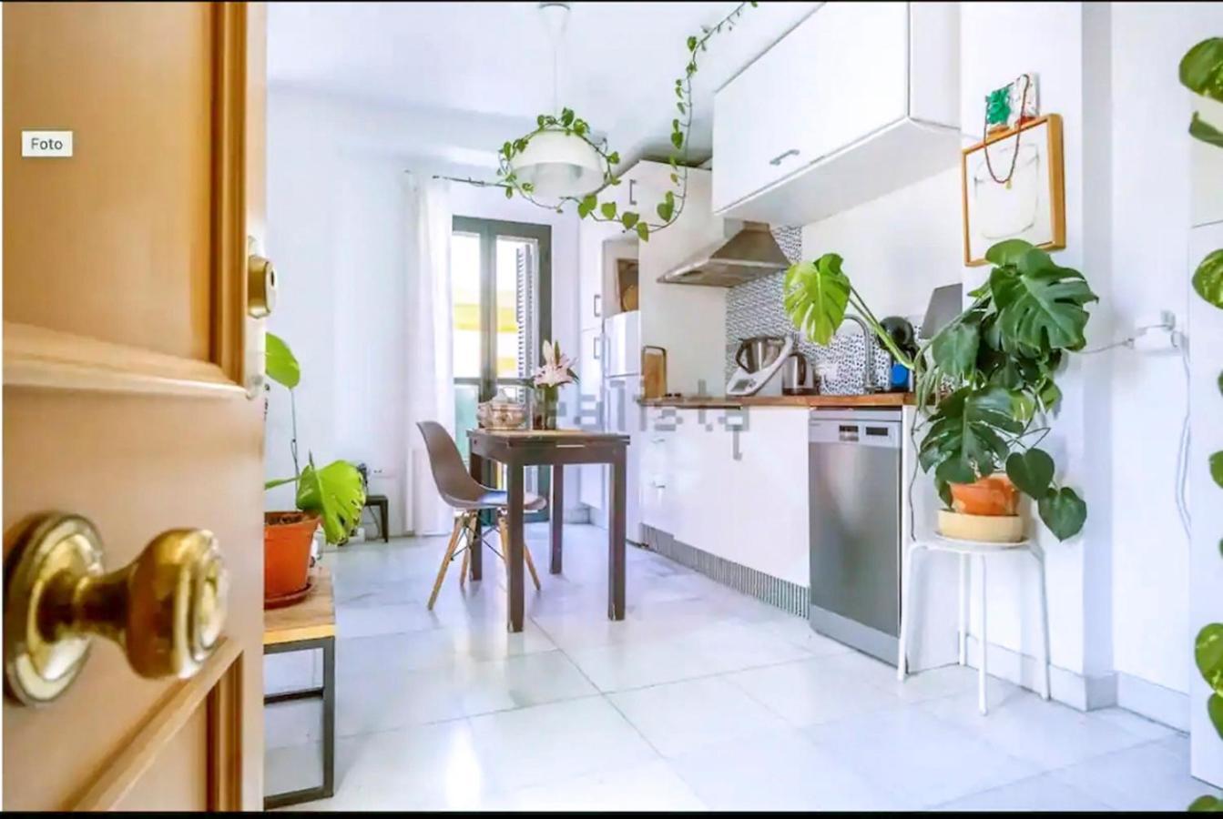 شقة Atico Con Balcon En Pleno Centro إشبيلية المظهر الخارجي الصورة